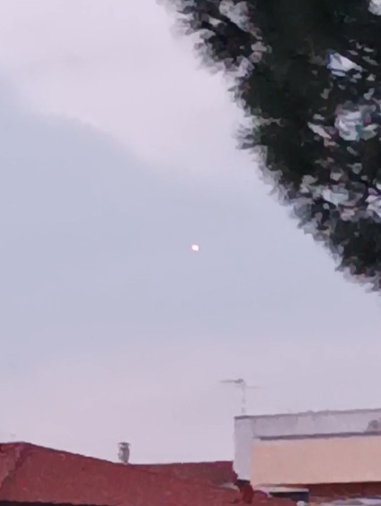 Fotografia dell'avvistamento a Castelfiorentino, Unione dei Comuni Circondario dell'Empolese Valdelsa, Firenze, Toscana, 50051, Italia