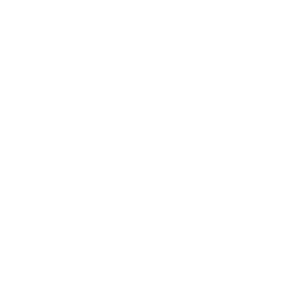 NemesiX Logo