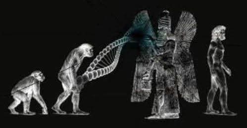 Anunnaki creatori dell' Homo Erectus?